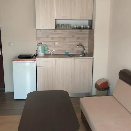Detelina Studio 아파트 *